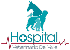 Hospital Veterinario del Valle